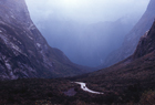 Fiordland 101314.jpg